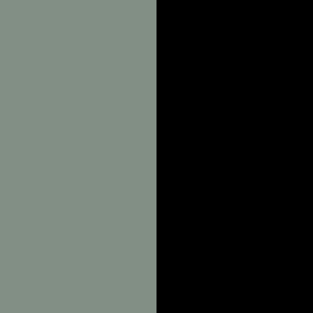 Pure Lime Invisible Hipster 2 Pack Hipsters 4601 Dusty Seagreen/Black